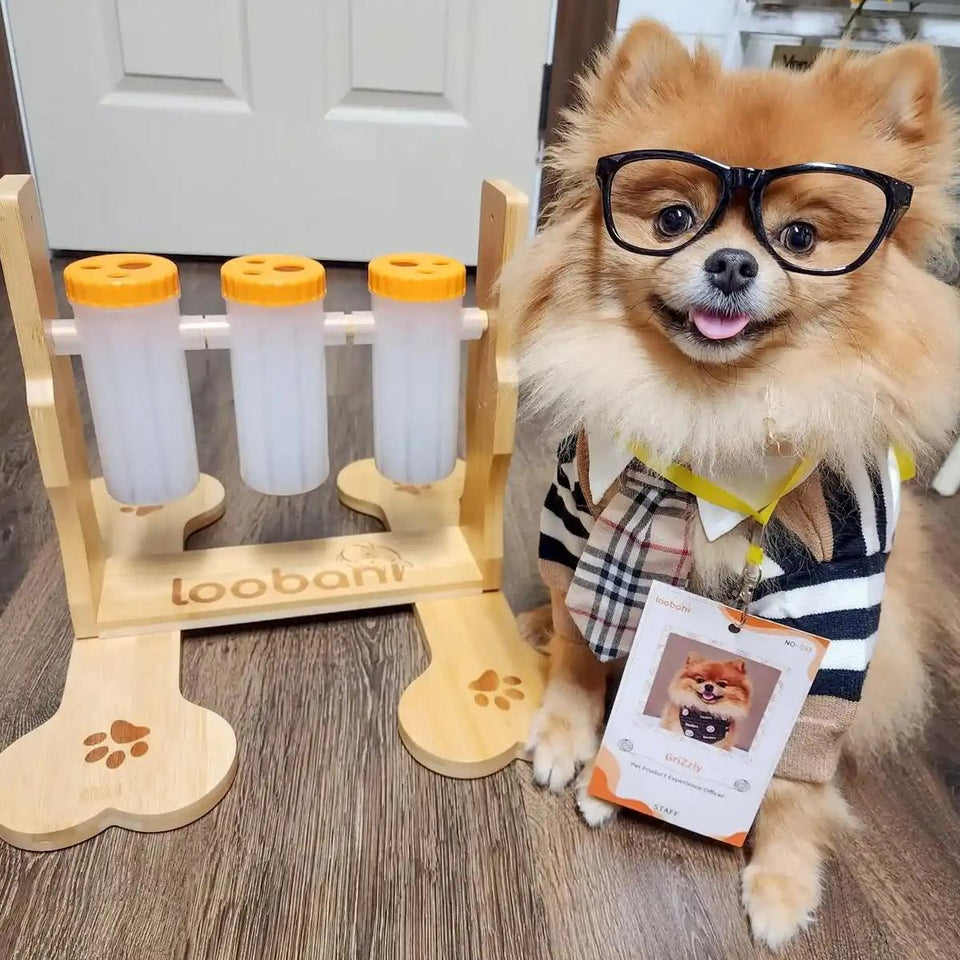 Brinquedo Loobani Alimentador Interativo para Cães Dispenser Ecológico Feito em Bambu com 3 Garrafas