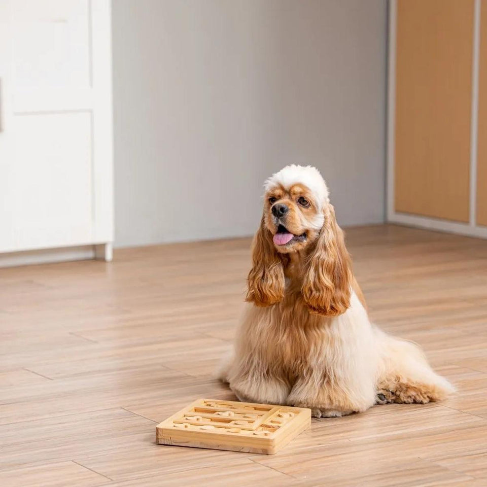 Brinquedo Loobani Alimentador Interativo para Cães Dispenser Ecológico Feito em Bambu com Labirinto Comedouro