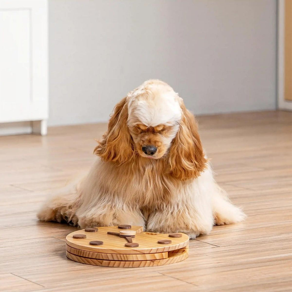 Brinquedo Loobani Alimentador Interativo para Cães Dispenser Ecológico Feito em Bambu com Relógio de Parede