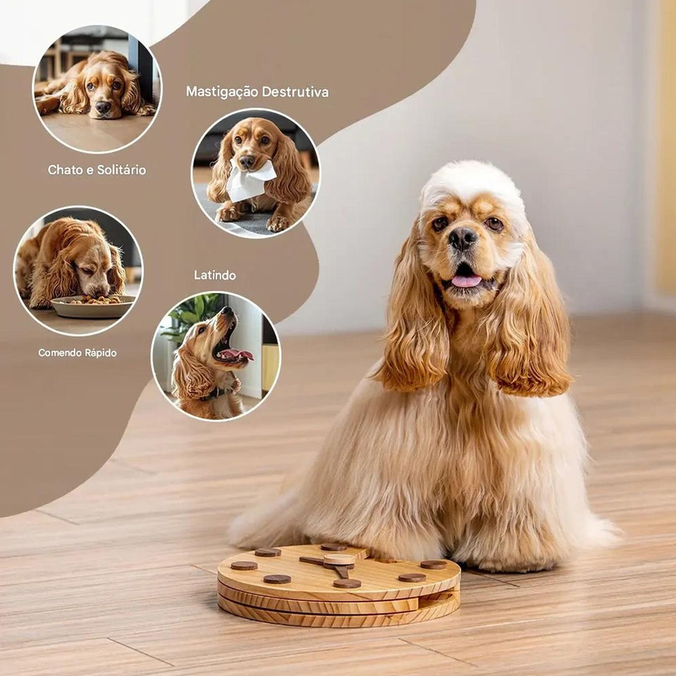 Brinquedo Loobani Alimentador Interativo para Cães Dispenser Ecológico Feito em Bambu com Relógio de Parede